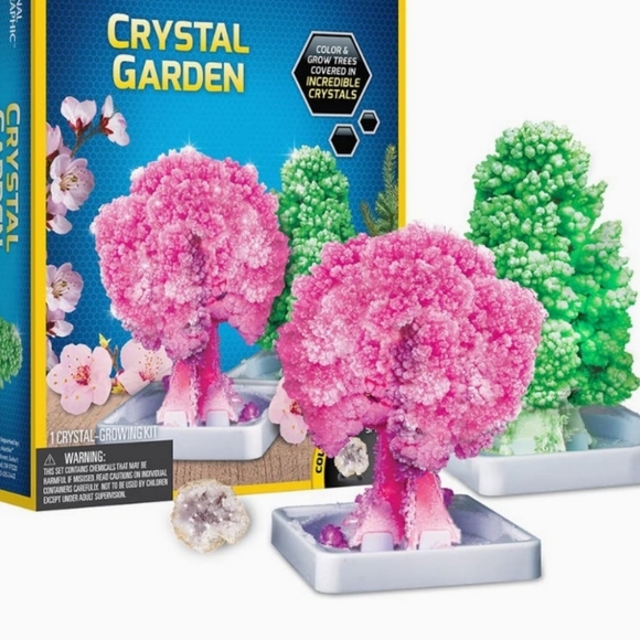 Crystal Garden Kit - Picture 3 of 5